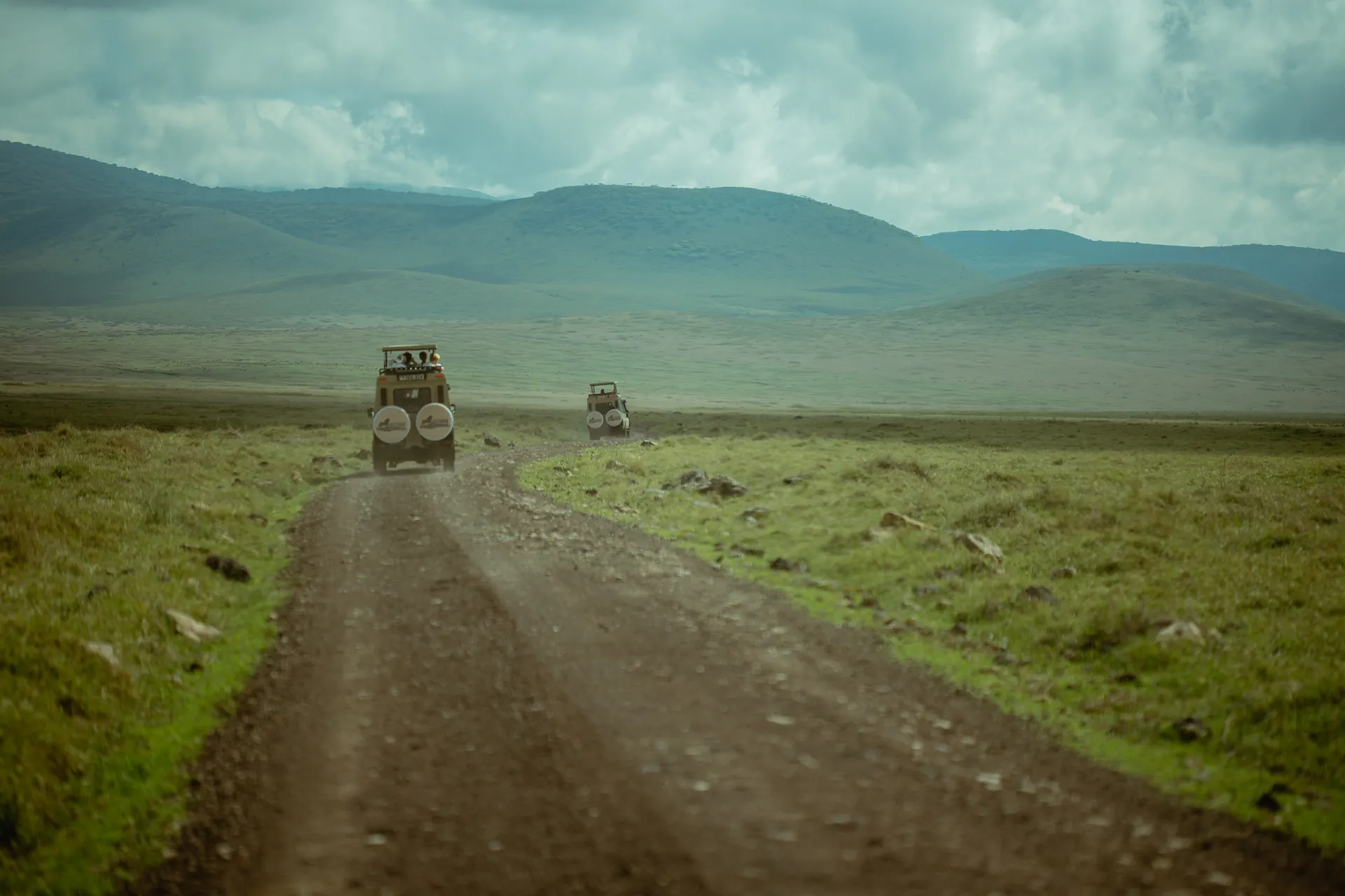 Wildlife in an East African safari landscape